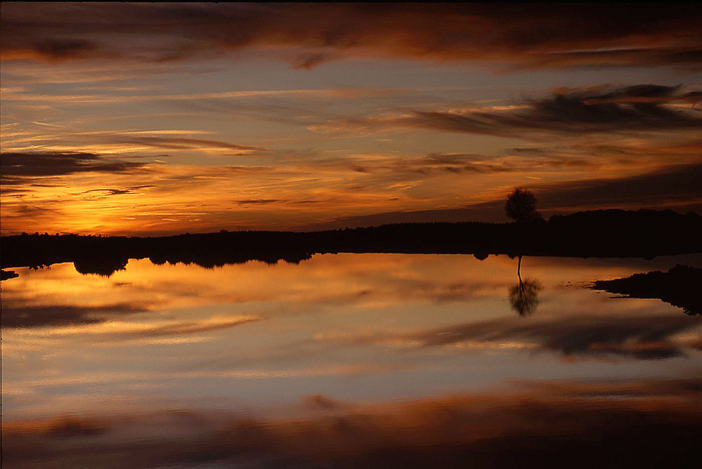 Autumn Sunset Reflections, Stoney Cross Plain